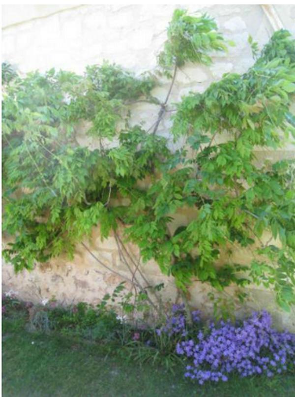 Le Clos De La Chapelle - Gite Les Glycines المظهر الخارجي الصورة